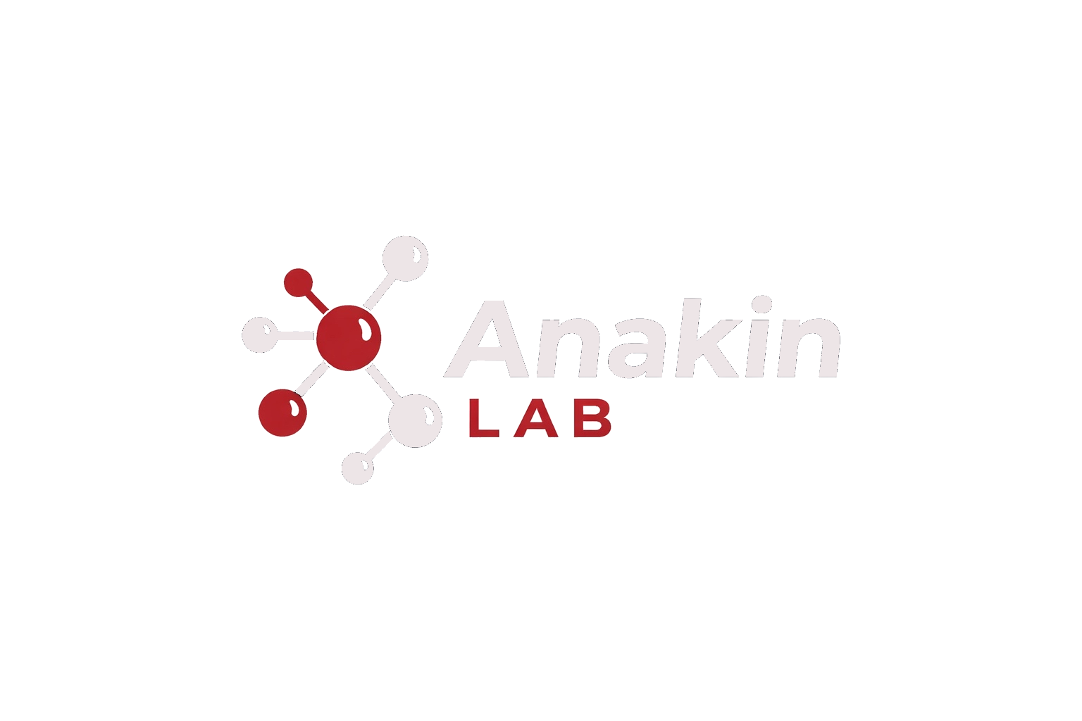 Anakin Labs